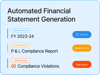 Full-time CFO Financial Statement