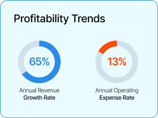 Interim CFO Services